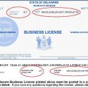 Business License Sample Business License Sample